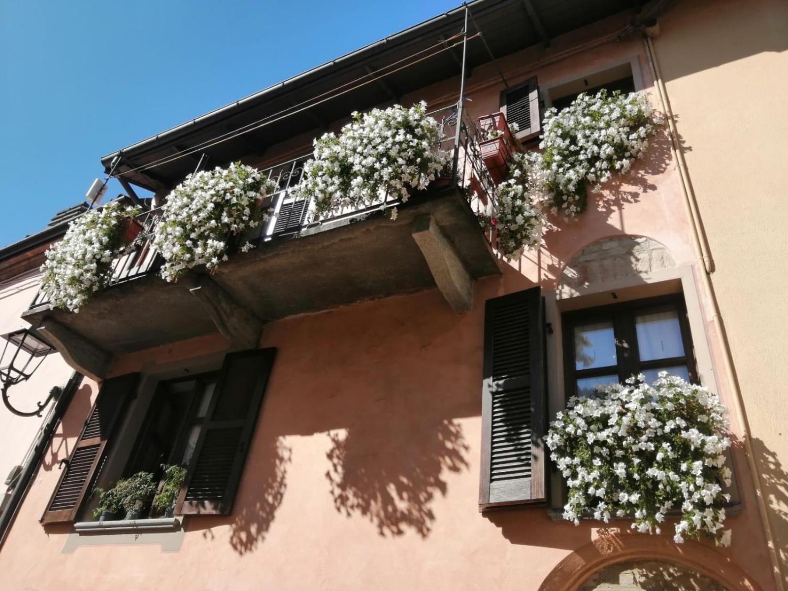 Holiday House Antica Dimora Soggiorni In Langa Centro Storico ラ・モッラ エクステリア 写真